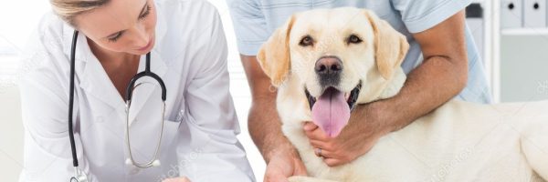 depositphotos_42937503-stock-photo-dog-getting-claws-trimmed-by