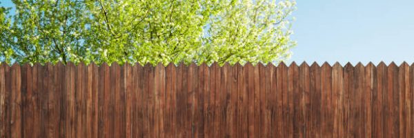 wooden garden fence at backyard and bloom tree in spring